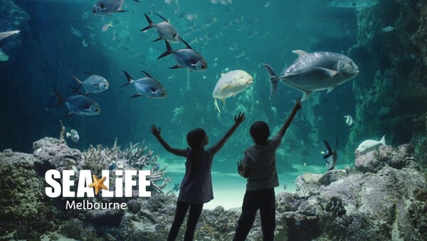 kham-pha-SEA-LIFE-Melbourne-Aquarium